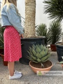 Agave/Agawa blue brian - wysokość z donicą: 70cm, średnica: ok. 60cm