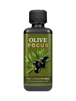 Olive Focus 300ml - nawóz do drzew oliwnych