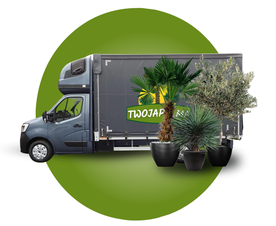 Transport-transport-dedykowany-twojapalma.png