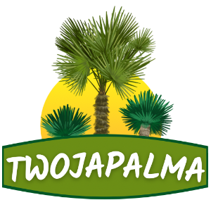  Twojapalma 